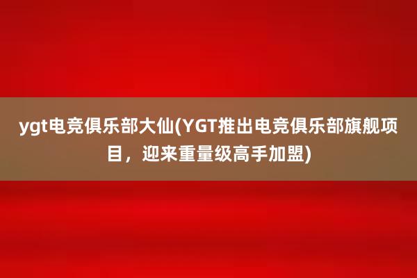 ygt电竞俱乐部大仙(YGT推出电竞俱乐部旗舰项目，迎来重量级高手加盟)