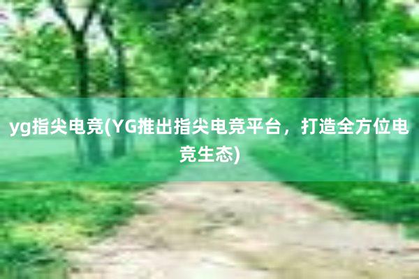 yg指尖电竞(YG推出指尖电竞平台，打造全方位电竞生态)