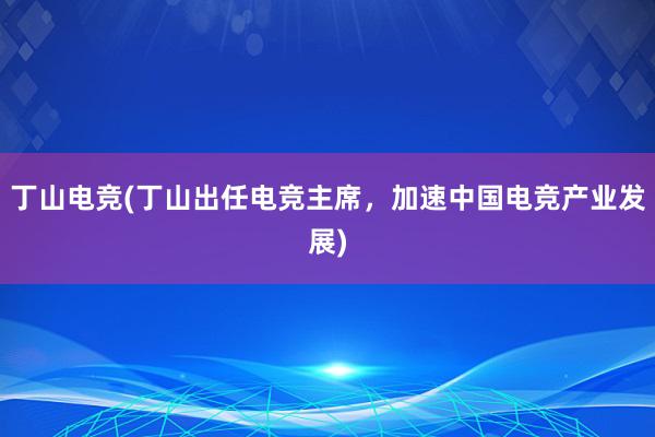 丁山电竞(丁山出任电竞主席，加速中国电竞产业发展)