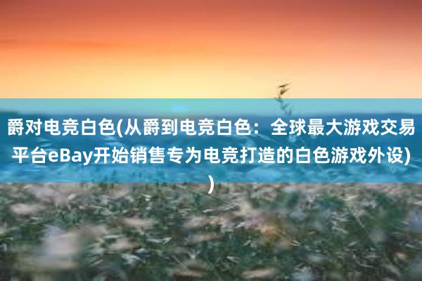 爵对电竞白色(从爵到电竞白色：全球最大游戏交易平台eBay开始销售专为电竞打造的白色游戏外设)