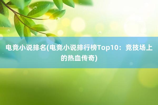 电竞小说排名(电竞小说排行榜Top10：竞技场上的热血传奇)