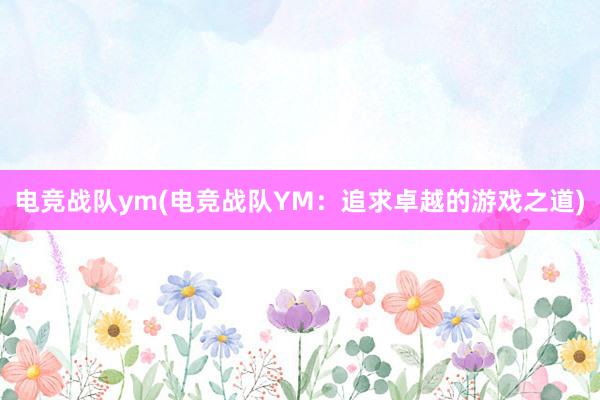 电竞战队ym(电竞战队YM：追求卓越的游戏之道)