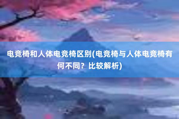 电竞椅和人体电竞椅区别(电竞椅与人体电竞椅有何不同？比较解析)