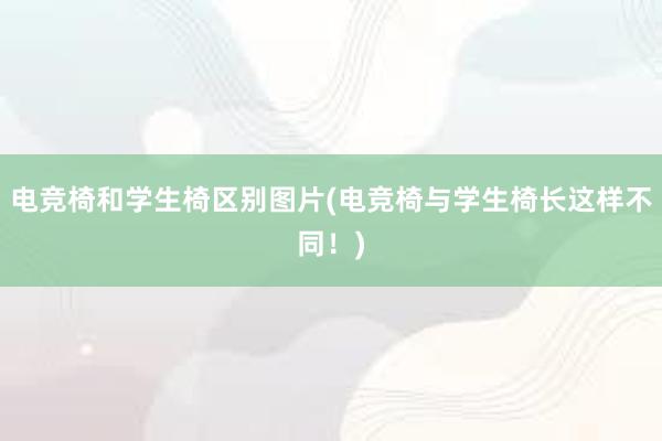 电竞椅和学生椅区别图片(电竞椅与学生椅长这样不同！)