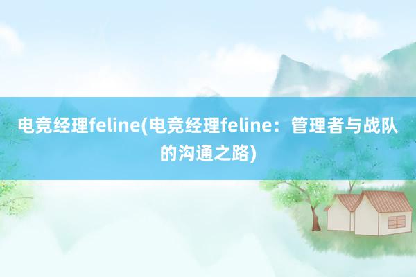 电竞经理feline(电竞经理feline：管理者与战队的沟通之路)