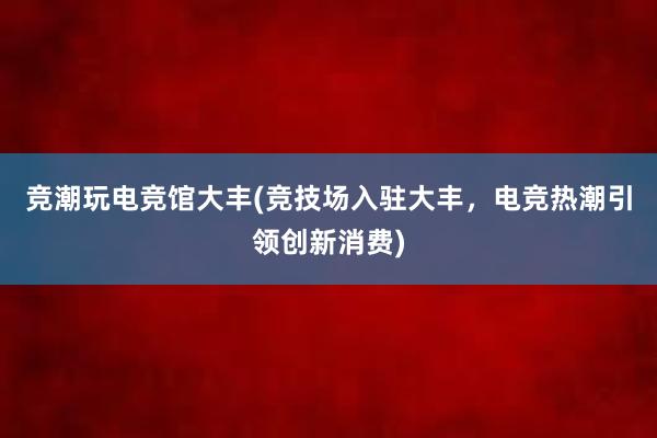 竞潮玩电竞馆大丰(竞技场入驻大丰，电竞热潮引领创新消费)