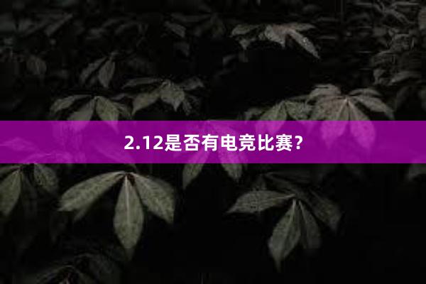 2.12是否有电竞比赛？