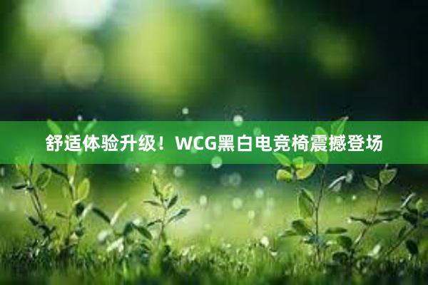 舒适体验升级！WCG黑白电竞椅震撼登场