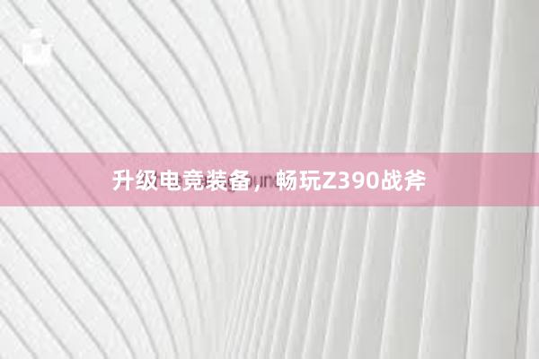 升级电竞装备，畅玩Z390战斧