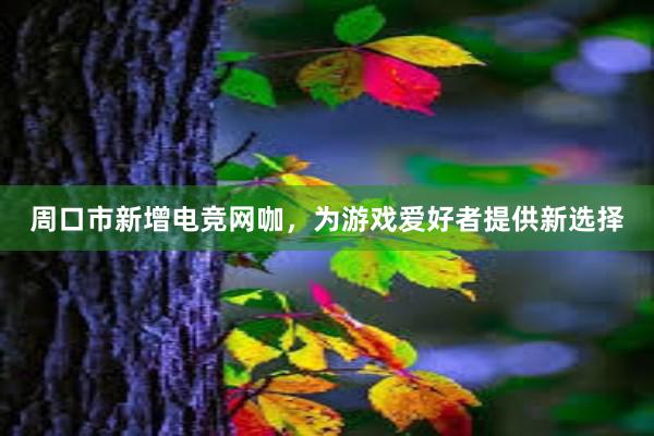 周口市新增电竞网咖，为游戏爱好者提供新选择