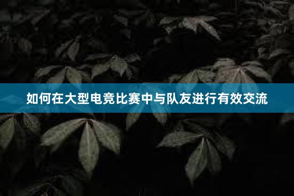 如何在大型电竞比赛中与队友进行有效交流