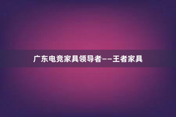 广东电竞家具领导者——王者家具