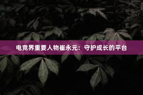 电竞界重要人物崔永元：守护成长的平台