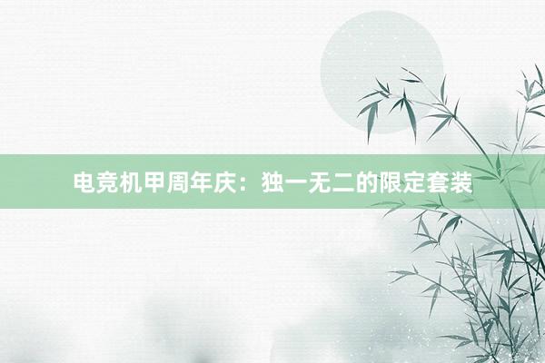 电竞机甲周年庆：独一无二的限定套装