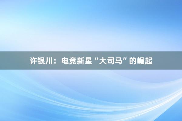 许银川：电竞新星“大司马”的崛起