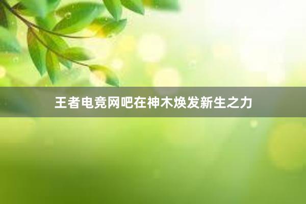 王者电竞网吧在神木焕发新生之力