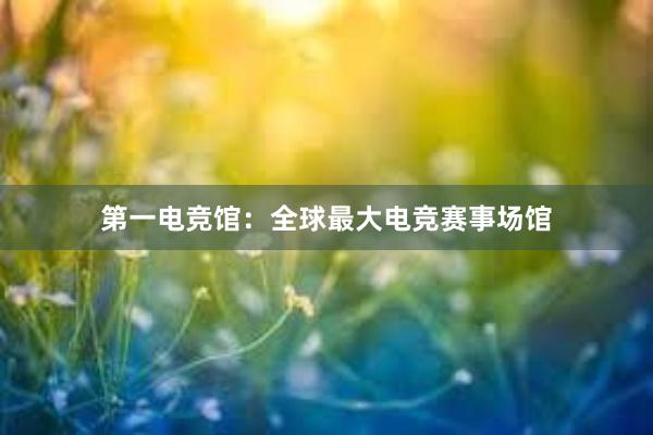 第一电竞馆：全球最大电竞赛事场馆