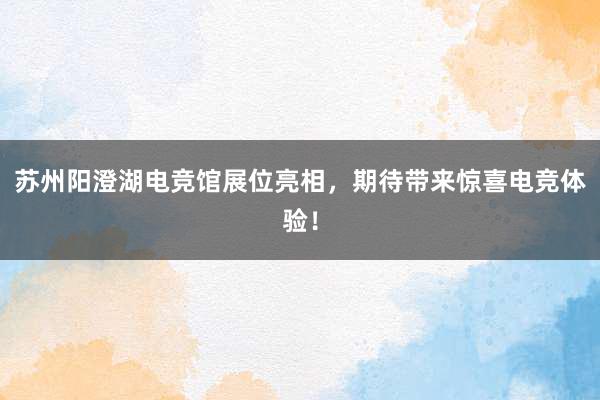 苏州阳澄湖电竞馆展位亮相，期待带来惊喜电竞体验！