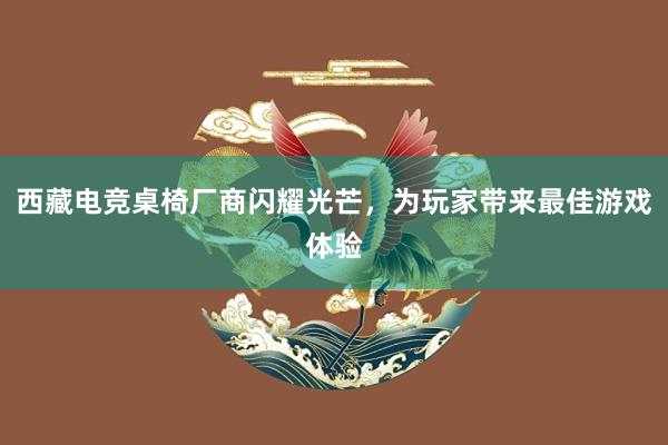 西藏电竞桌椅厂商闪耀光芒，为玩家带来最佳游戏体验