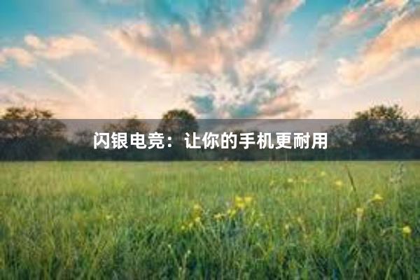 闪银电竞：让你的手机更耐用